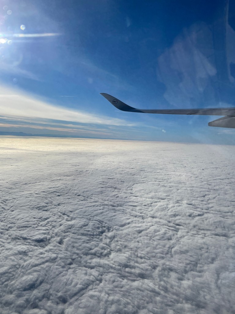 COVID-19 Chronicles: The One With The [Necessary] Trip (Part&nbsp;2)